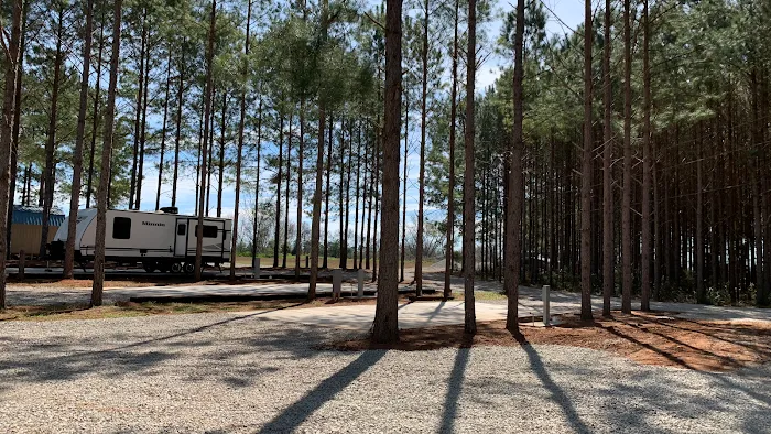 American Robin RV Park 9