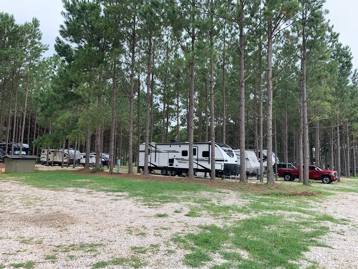 American Robin RV Park 10