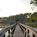 Pinelog State Park Youth Pavilion