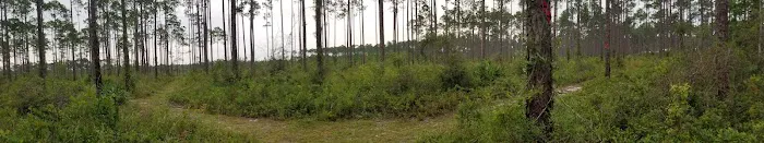 Pinelog State Park Youth Pavilion 10