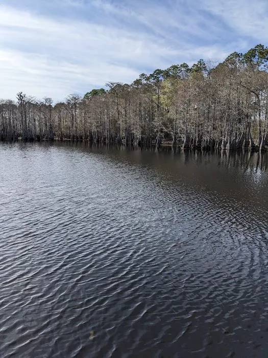 Sand Pond Campground 1