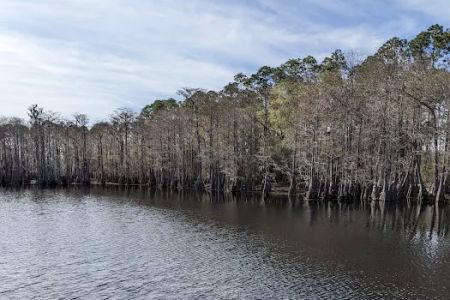 Sand Pond Campground