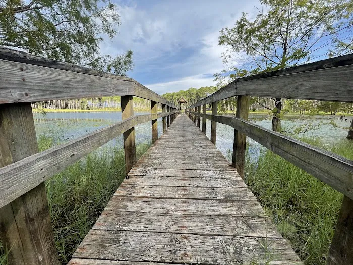 Sand Pond Campground 2