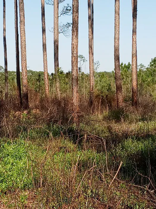 Sand Pond Campground 4