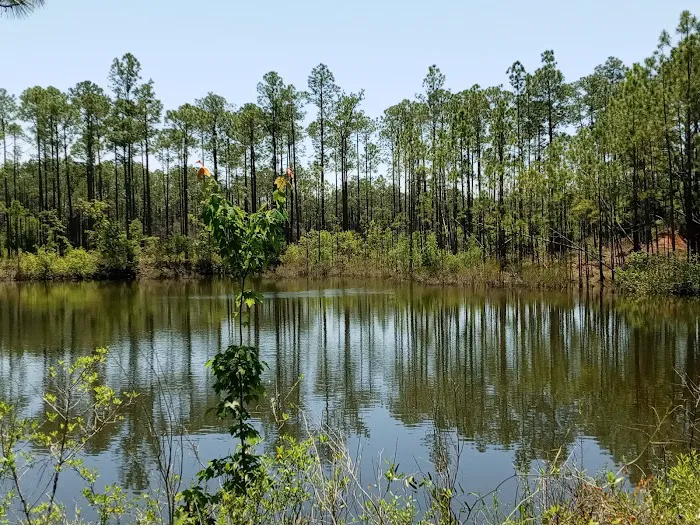 Sand Pond Campground 5