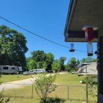 WOODLAND RV PARK