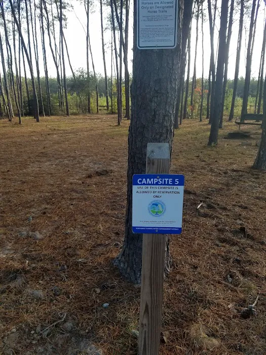 Pine Ridge Equestrian Trail 1