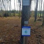 Pine Ridge Equestrian Trail