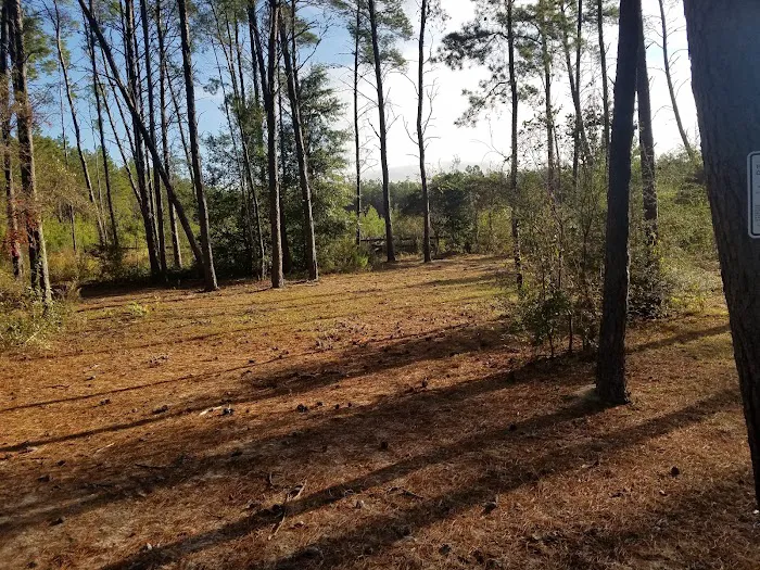 Pine Ridge Equestrian Trail 8