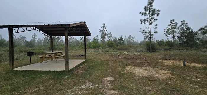 Wolf Pond North 1