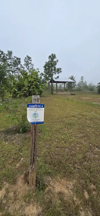 Wolf Pond North 4