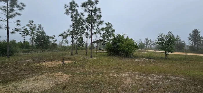 Wolf Pond North 6