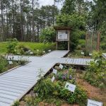 Falling Waters State Park Campground