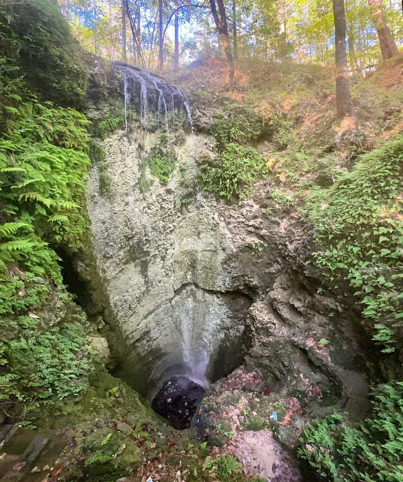Falling Waters State Park Campground 4