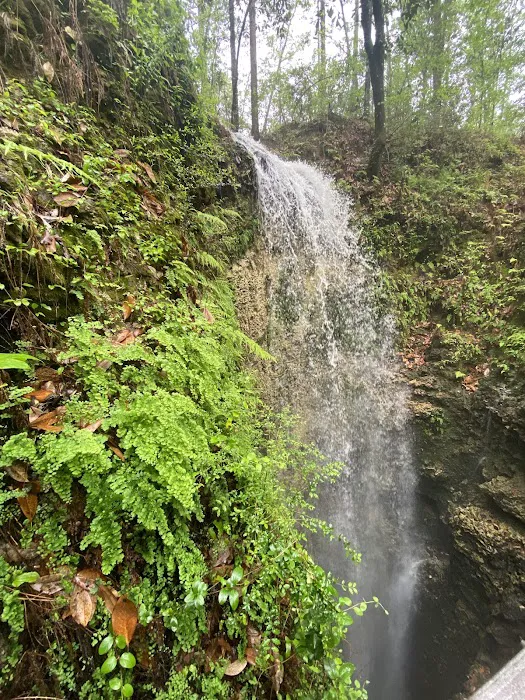 Falling Waters State Park Campground 3