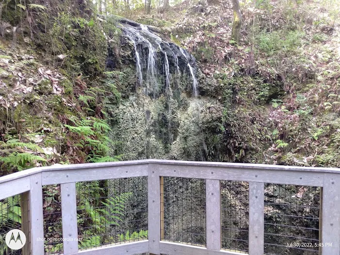 Falling Waters State Park Campground 2