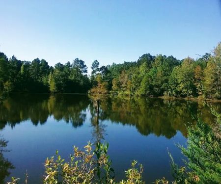 HitchinPost RV Park and Campground