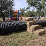 Hidden Cypress Christmas Tree Farm