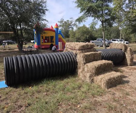 Hidden Cypress Christmas Tree Farm