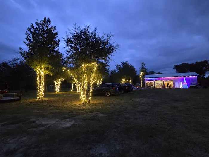 Hidden Cypress Christmas Tree Farm 3