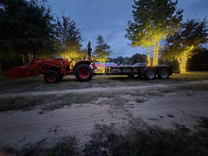 Hidden Cypress Christmas Tree Farm 6