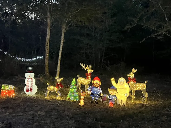 Hidden Cypress Christmas Tree Farm 7