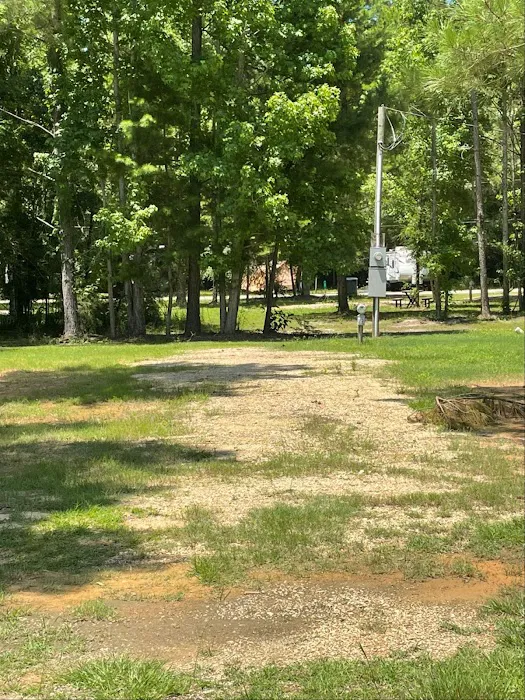 AL Wildwood RV 11