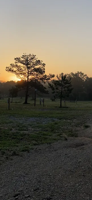 Wiregrass RV Park and Campground 2