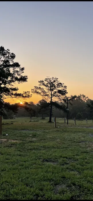 Wiregrass RV Park and Campground 4