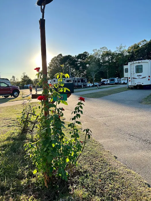 Mr D's RV Park 6