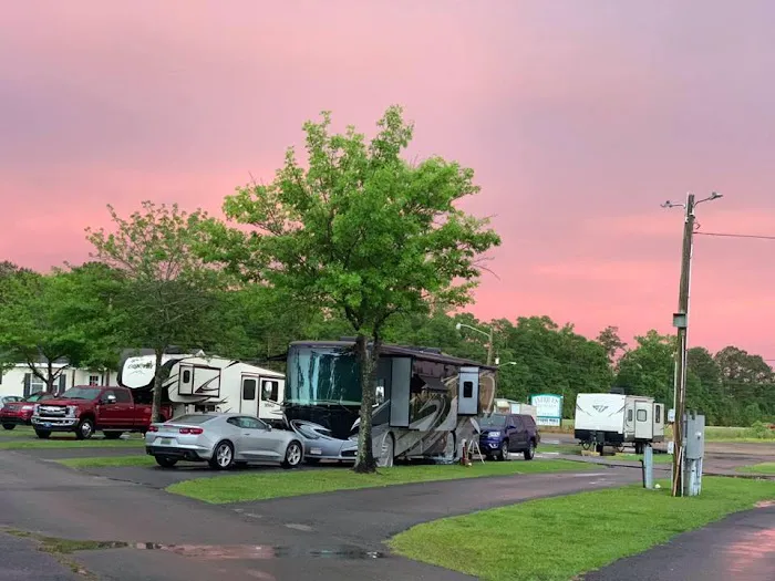 Mr D's RV Park 10