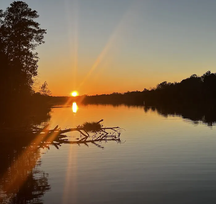 Millers Ferry Campground 1