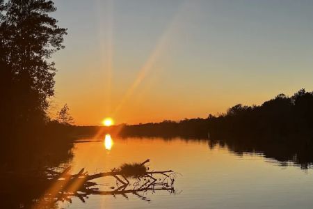 Millers Ferry Campground