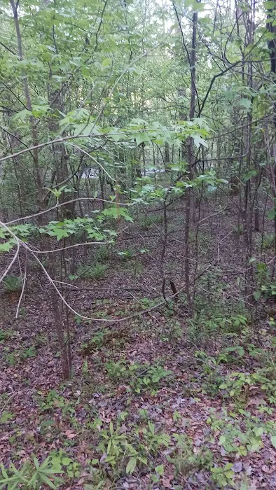 Millers Ferry Campground 7