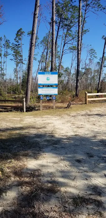 Longleaf Campsite at Walsingham Campgrounds 9