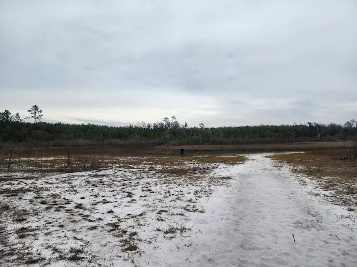 Sparkleberry Pond 1