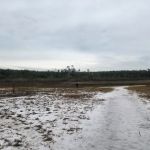 Sparkleberry Pond