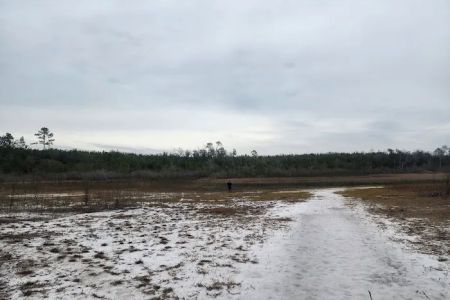 Sparkleberry Pond