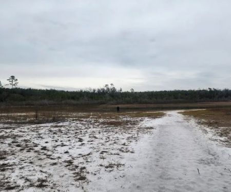 Sparkleberry Pond