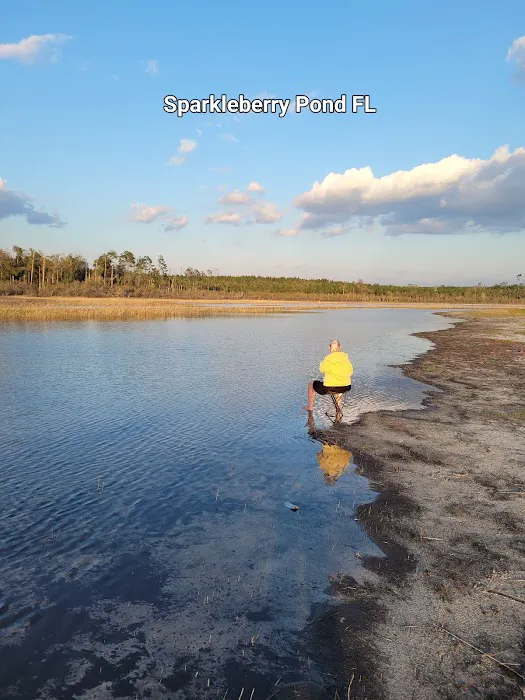 Sparkleberry Pond 4