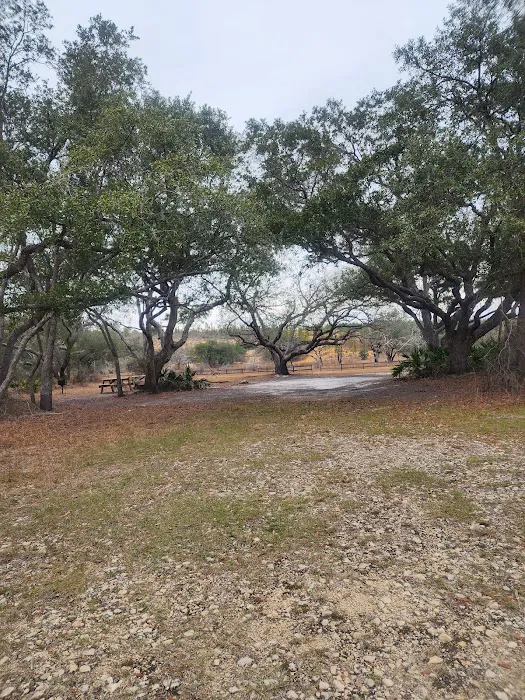 Sparkleberry Pond 2