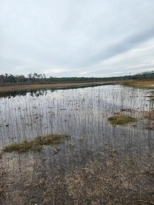 Sparkleberry Pond 8