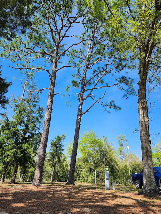 Pine Lake RV Park 7