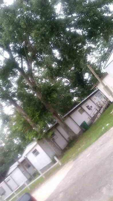 Trailer Park 1