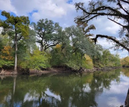 Christoff Landing Campsite
