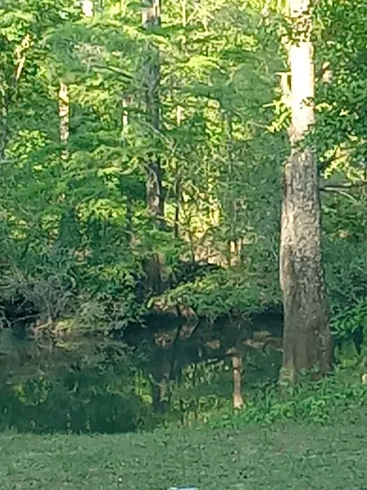 Christoff Landing Campsite 4
