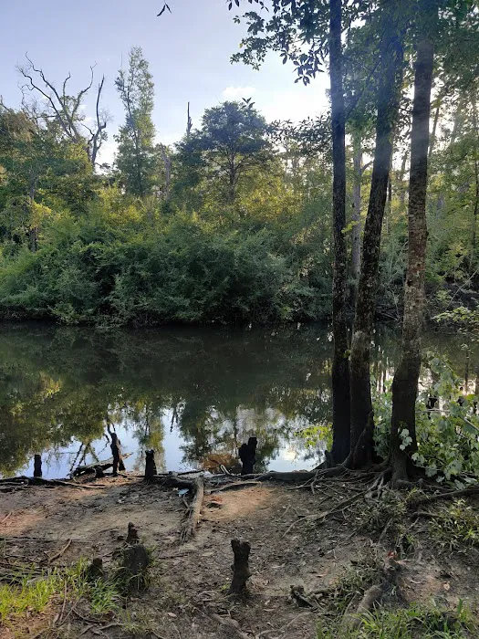 Christoff Landing Campsite 7