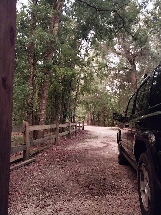 Christoff Landing Campsite 10