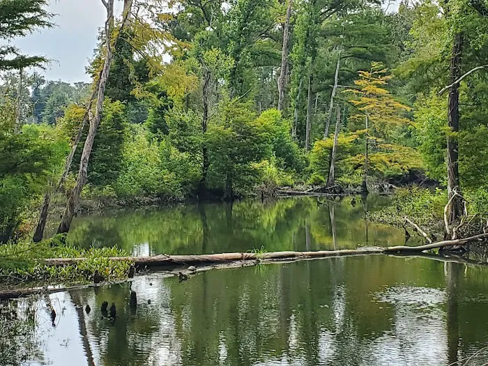 Blue Hole Campground 4