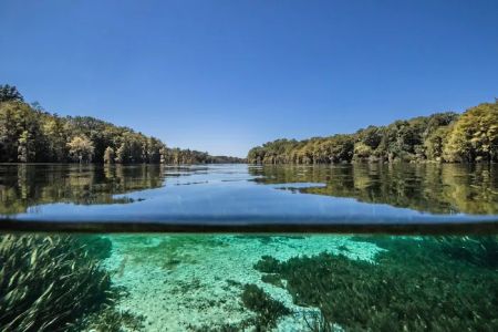 Florida Caverns RV Resort at Merritt's Mill Pond